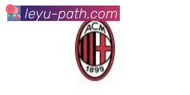 乐鱼leyu合作伙伴